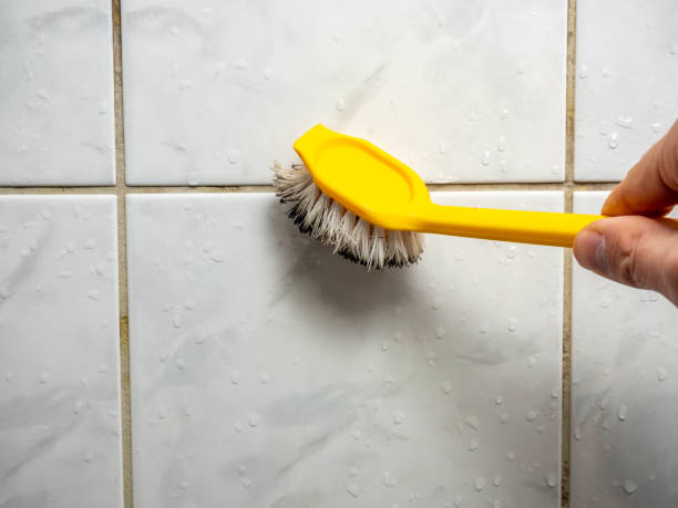 Montara, CA Mold Removal Company