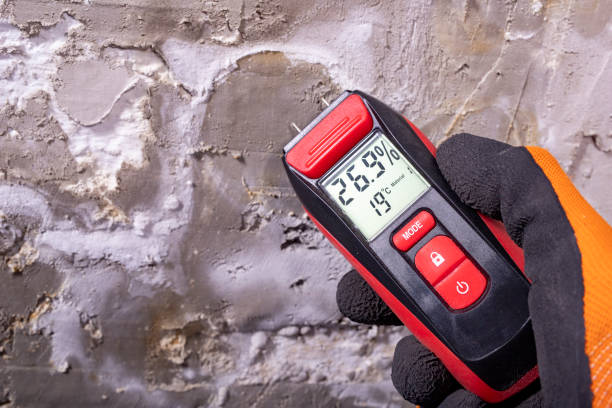 Best Certified Mold Removal  in Montara, CA