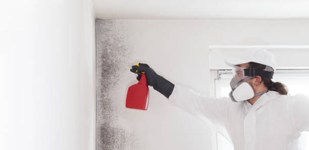 Best Office Mold Removal Services  in Montara, CA