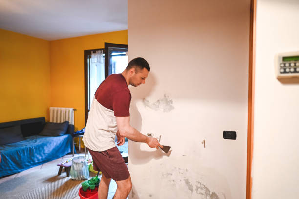 Best Home Mold Removal  in Montara, CA