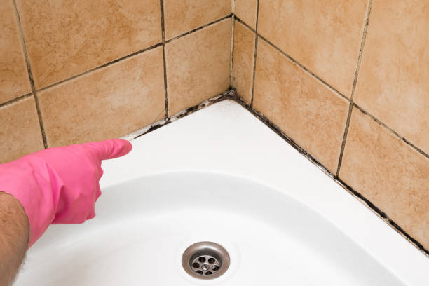 Best Fast Mold Removal  in Montara, CA